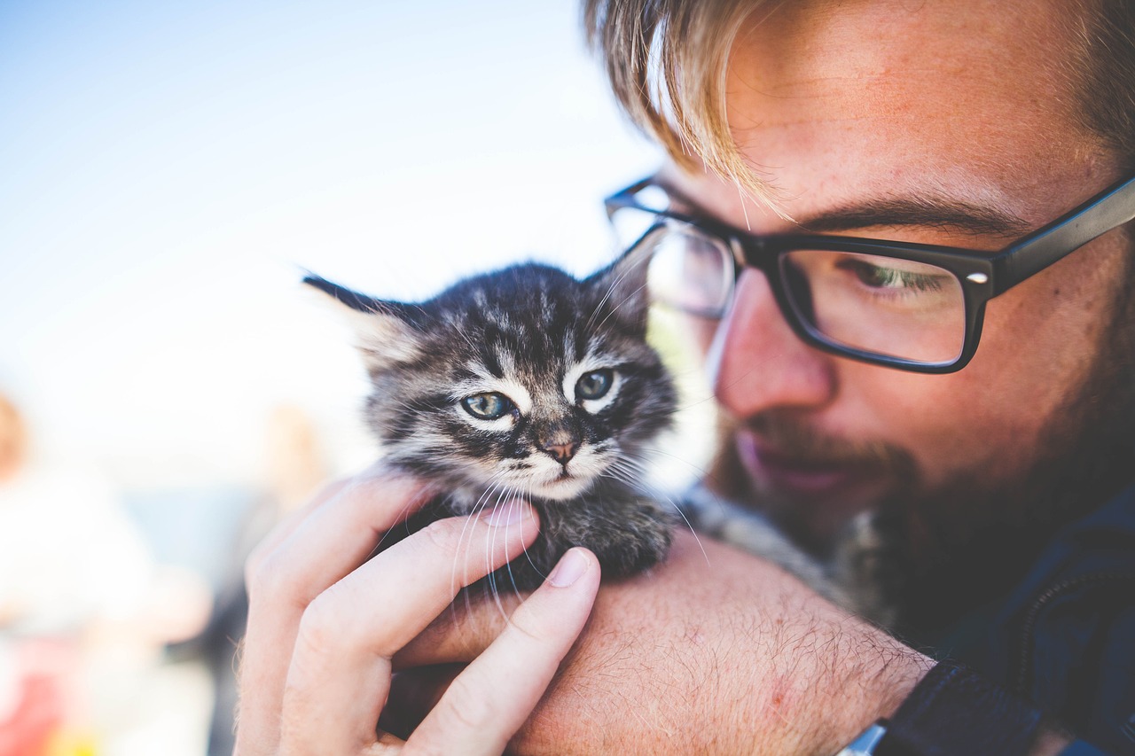 Planning for Pet Safety during Emergencies